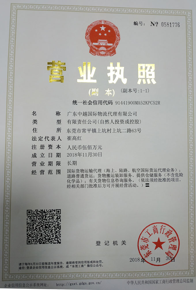 廣東中越國際物流代理有限公司.jpg